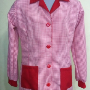Uniformes Escolares 014